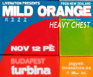 Mild Orange 300x250